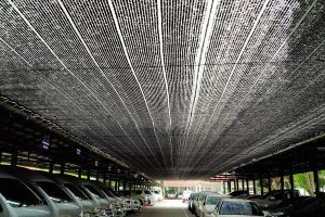 ลินตาข่ายบังแดด